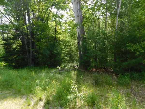 244 Canaan Road, Hartland, ME 04943