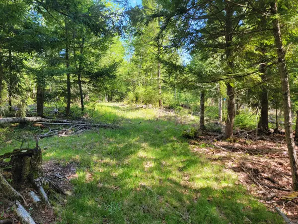 67 Bog Brook Road, China, ME 04358