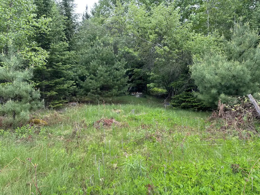 Browns Corner Rd M11 L6, Canaan, ME 04924 - #2