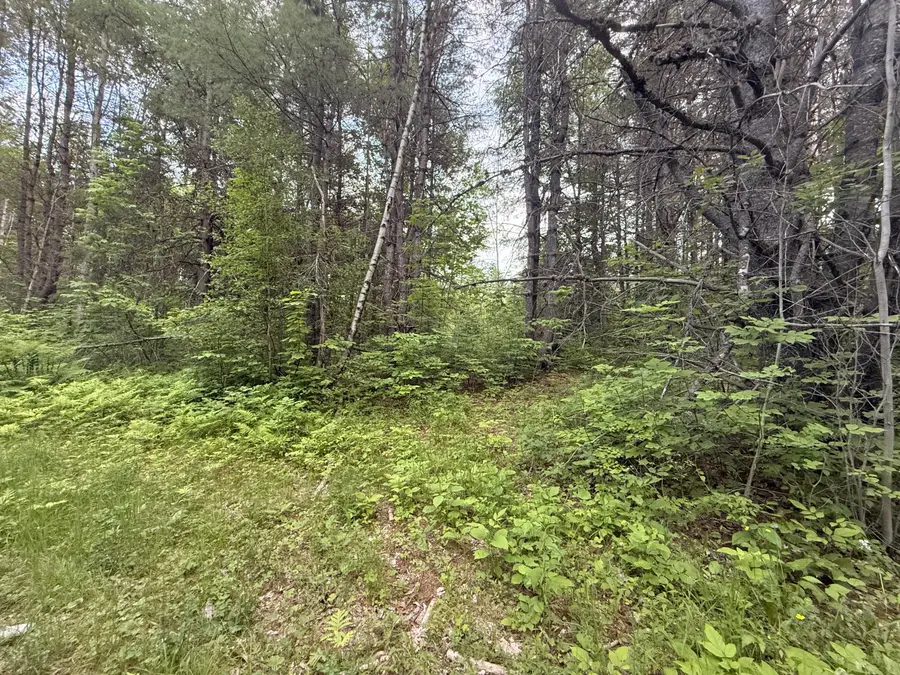 003-001-A Project Road, Enfield, ME 04493 - #2