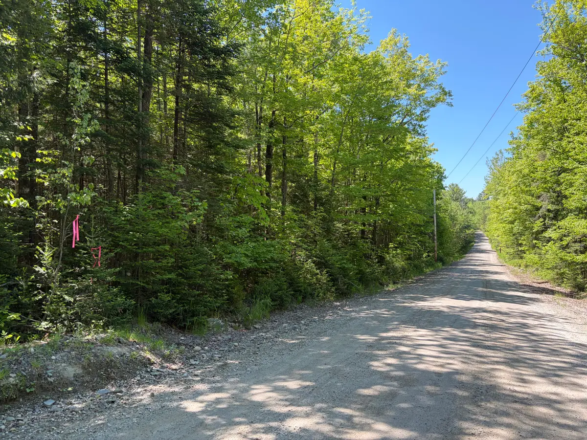 Lot 1 Holley Road, Farmington, ME 04938 - #1