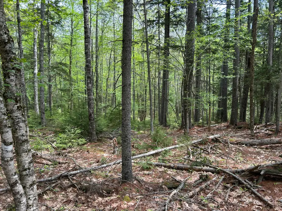 103 Ledges Circle, Waldoboro, ME 04572 - #2