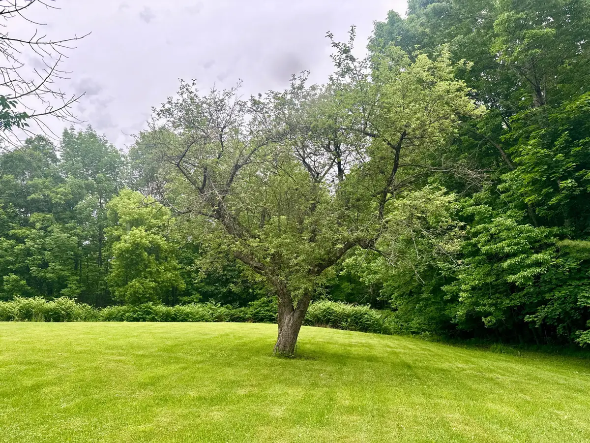 Lot 20-A Pine Street, Dover Foxcroft, ME 04426 - #1