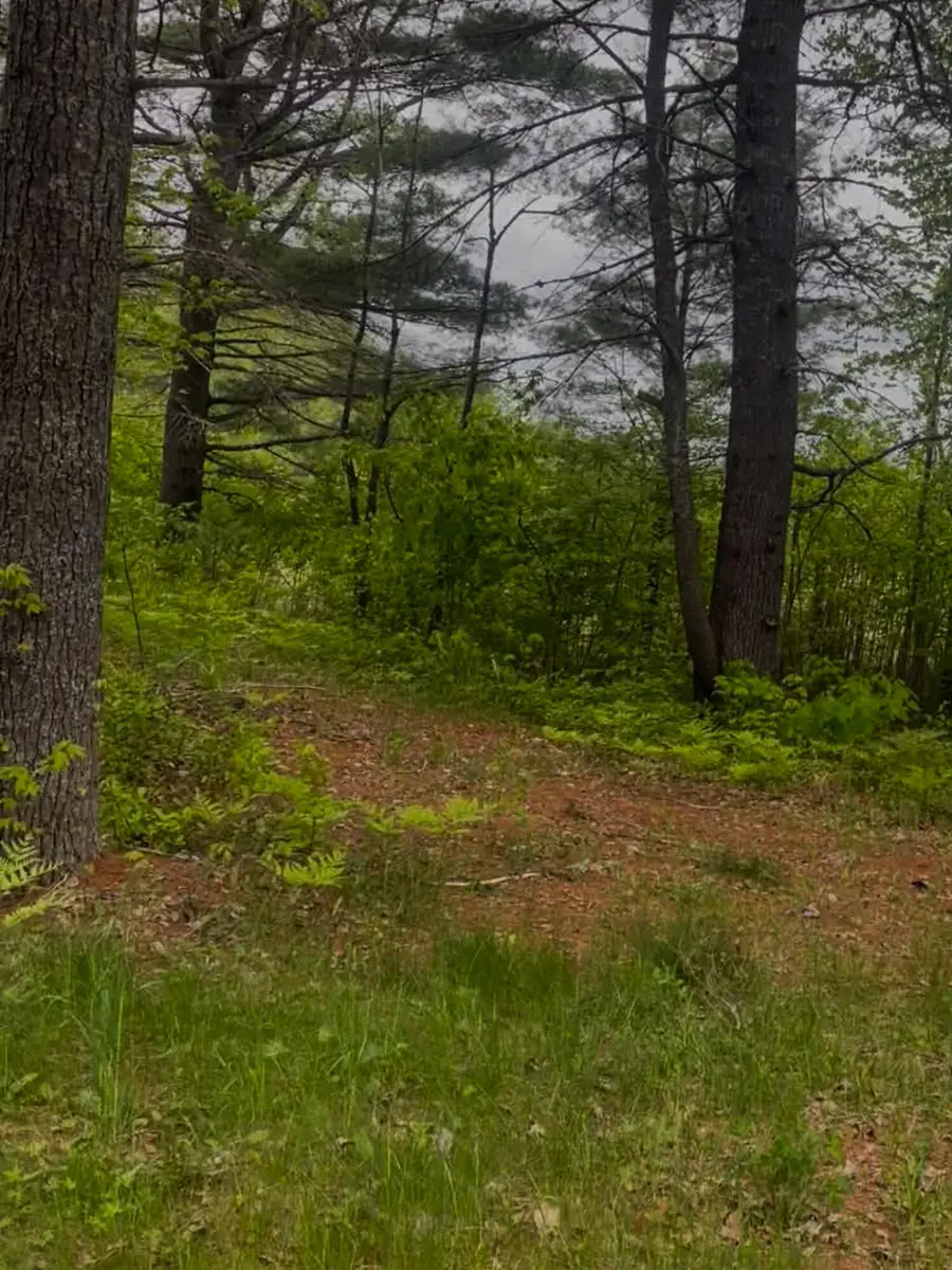 4422 Bennoch Road, Alton, ME 04468 - #2