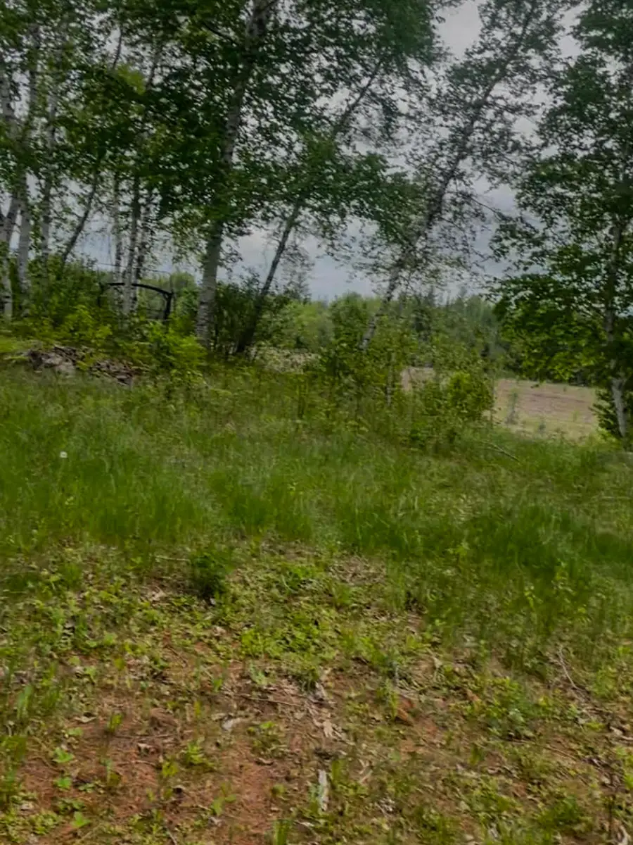 4422 Bennoch Road, Alton, ME 04468 - #3