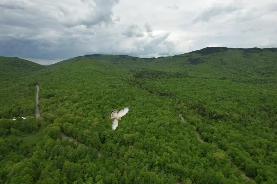 2401 Long Falls Dam Road, Highland, ME 04961 - #2