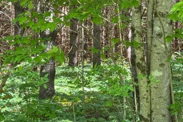 lot 23 Mountain View Lane, Hope, ME 04847