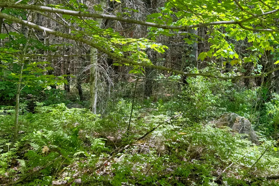 lot 23 Mountain View Lane, Hope, ME 04847 - #2