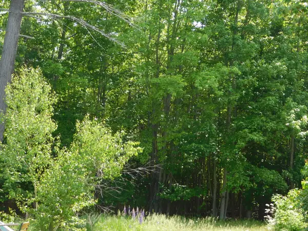 M18 L88 Crosby Street, Hartland, ME 04943