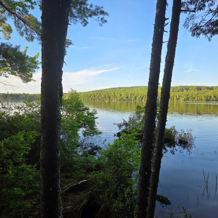 74 Eagle Ridge Road, Lincoln, ME 04457 - #3