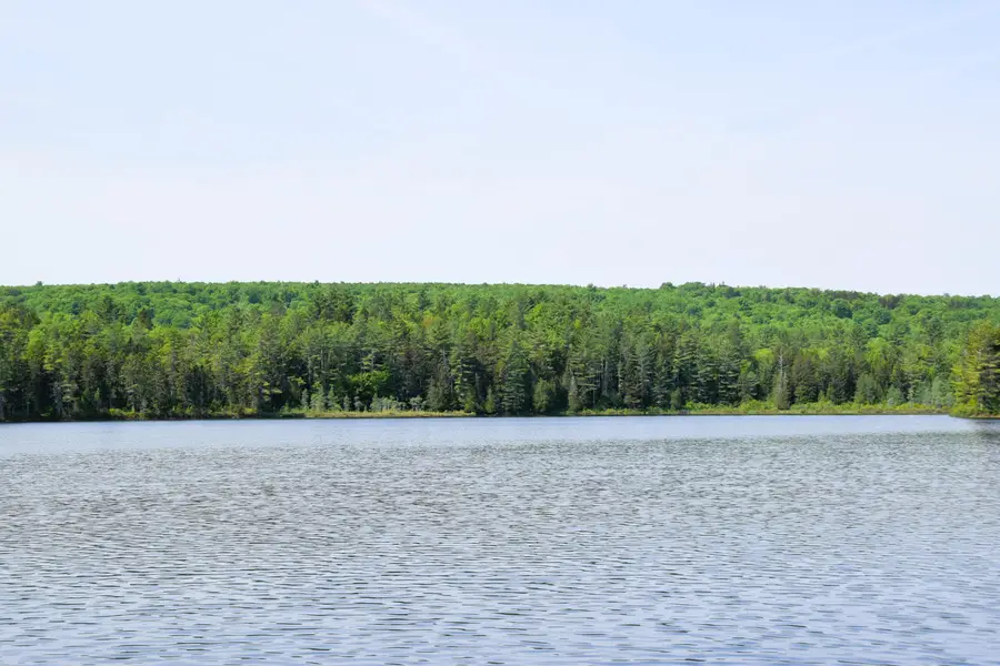 MS03 Middle Carry Pond, Northwest Somerset, ME 04961 - #2