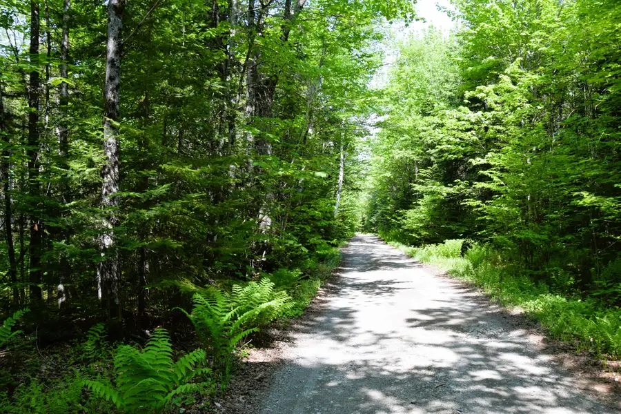 MS03L Middle Carry Pond Road, Northwest Somerset, ME 04961 - #3