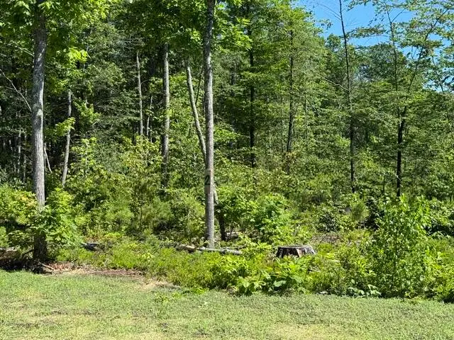 Lot 2 Youngs Way, Standish, ME 04084 - #2