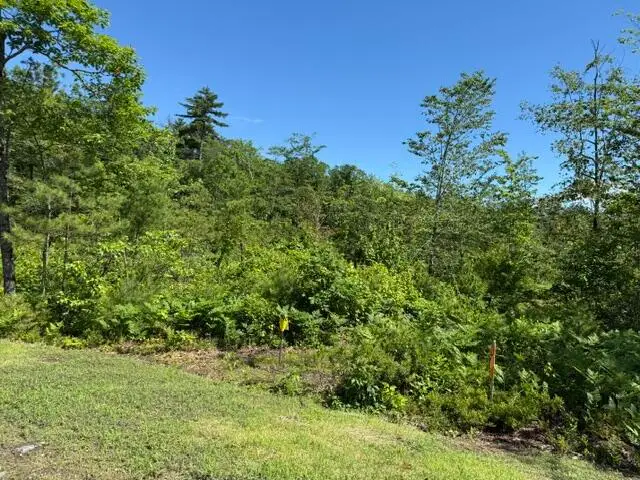 Lot 2 Youngs Way, Standish, ME 04084 - #3