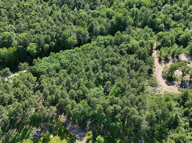 Lot 23, F1 Little Poverty Pond Road, Shapleigh, ME 04076 - #2