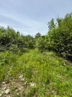 13B Richardson Road, Orrington, ME 04474 - #2