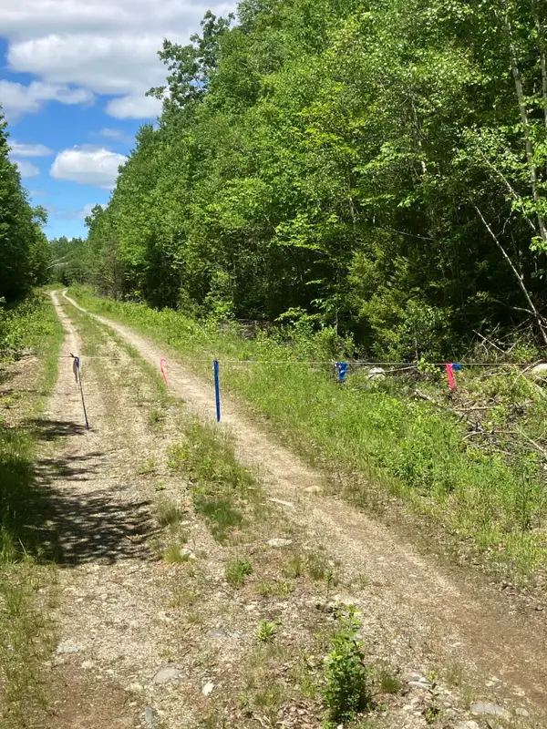 Off Route 192, Wesley, ME 04686