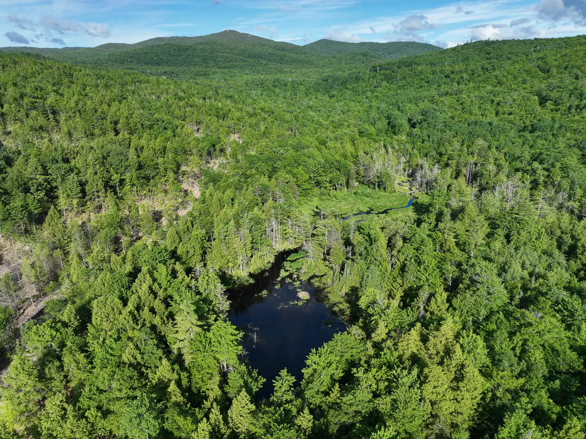 Map 10 Lot 1 Dow Brook Road, Peru, ME 04290 - #1