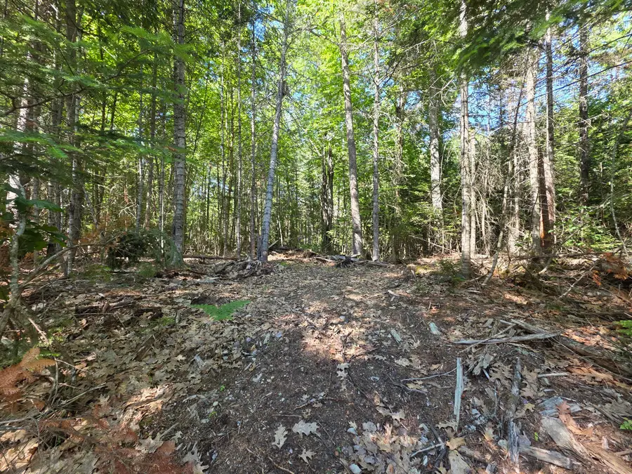 458 Point Road, Otis, ME 04605 - #2