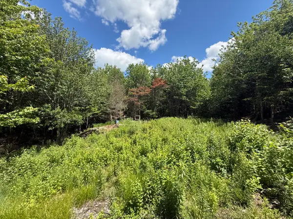 Lot 27 Lively Brook Acres, Whiting, ME 04691