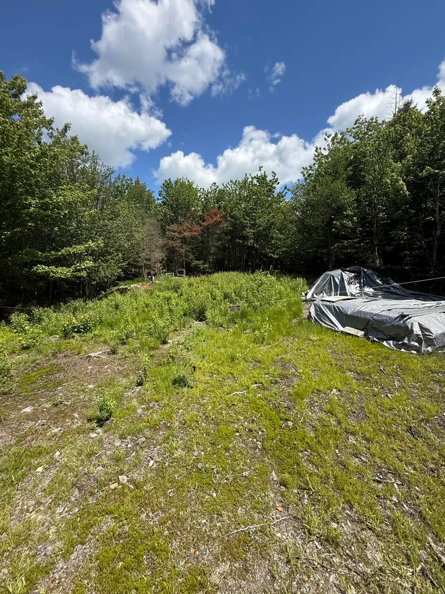 Lot 27 Lively Brook Acres, Whiting, ME 04691 - #3