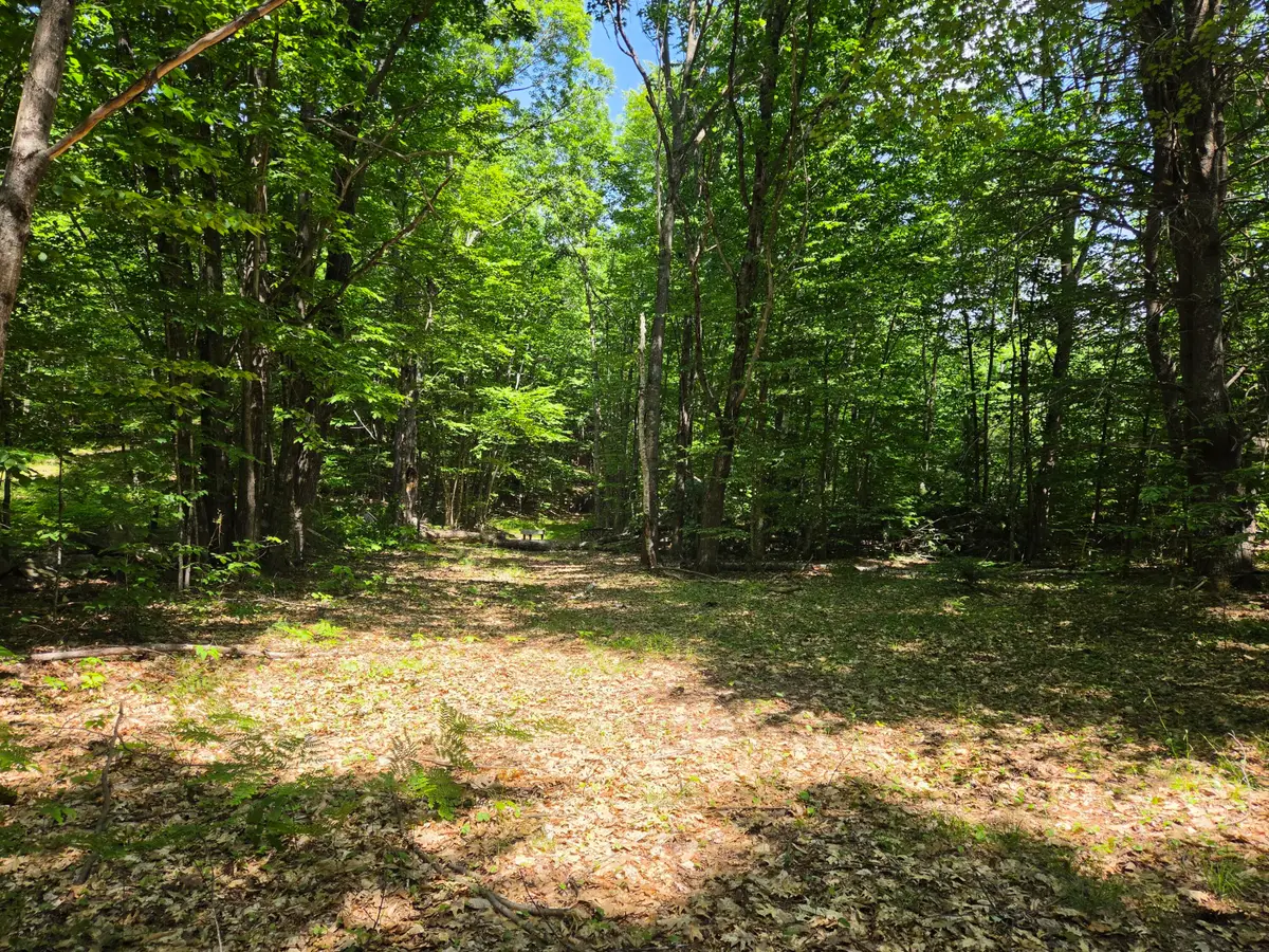 0 Quarry Road, Jay, ME 04239 - #1