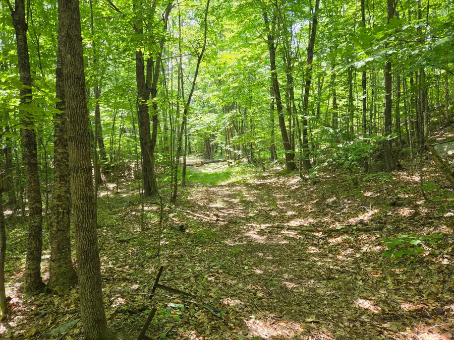 0 Quarry Road, Jay, ME 04239 - #3