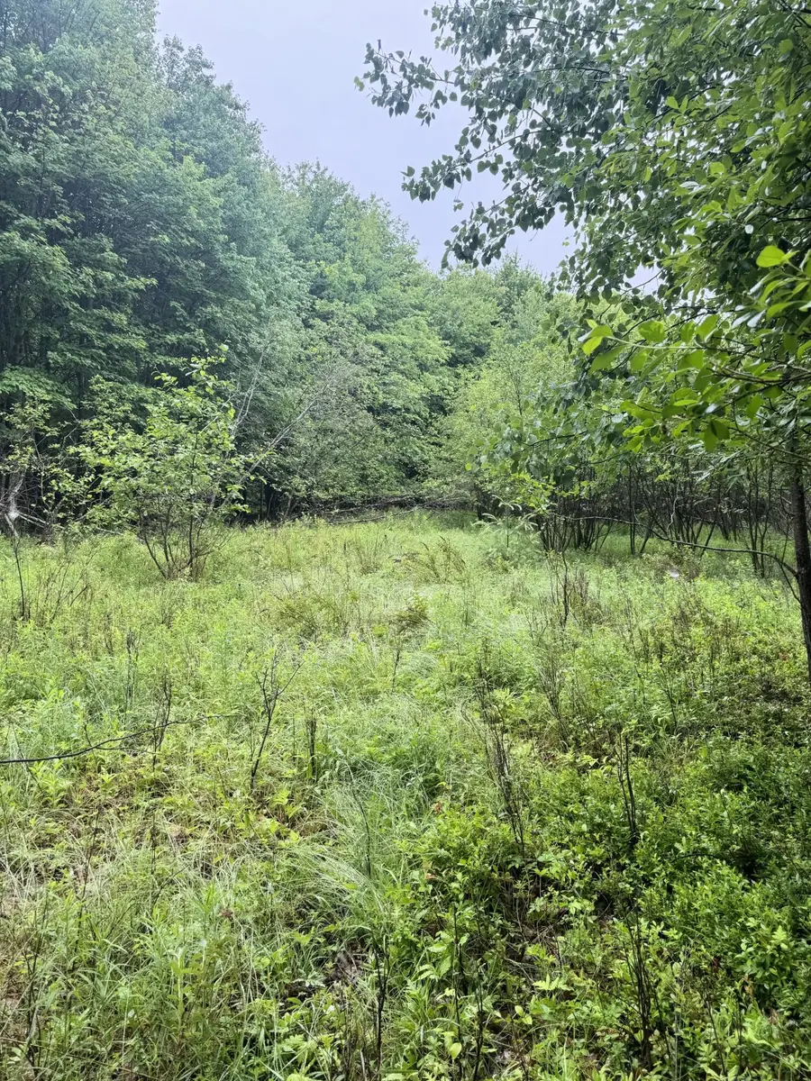 000 Williams Pond Road Road, Bucksport, ME 04416 - #3