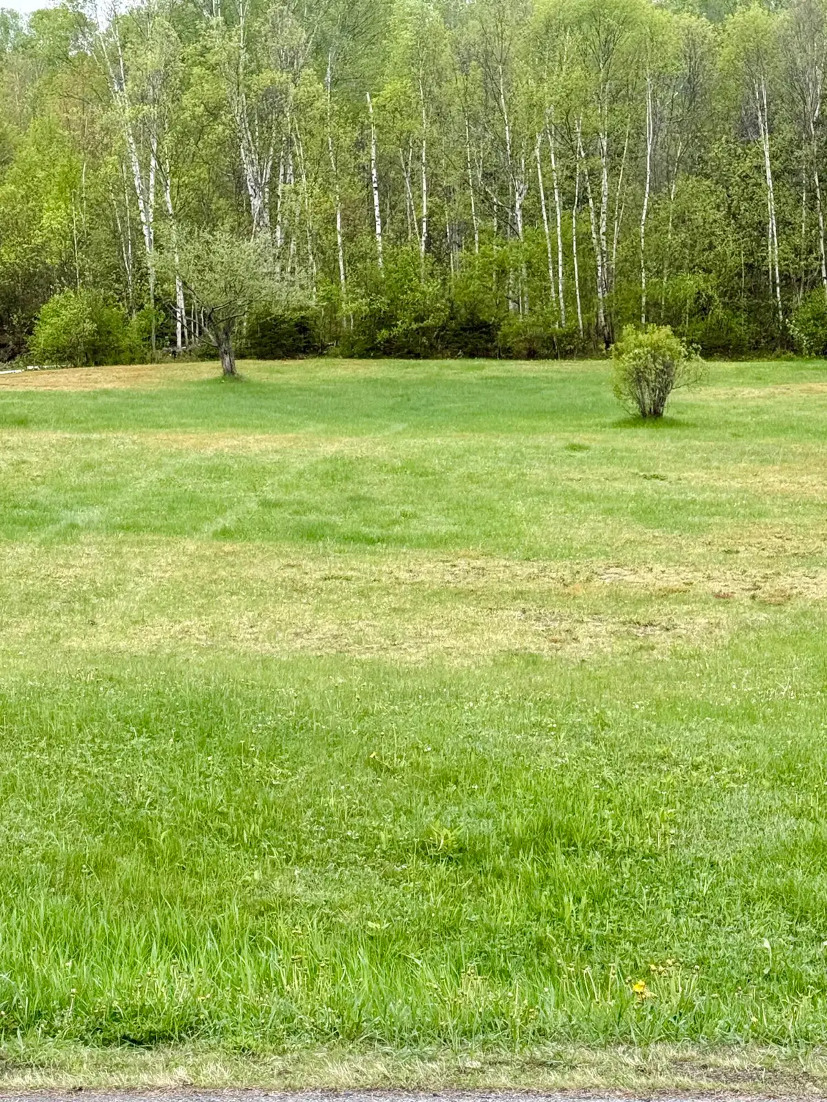 0 Albert Street, Madawaska, ME 04756 - #1