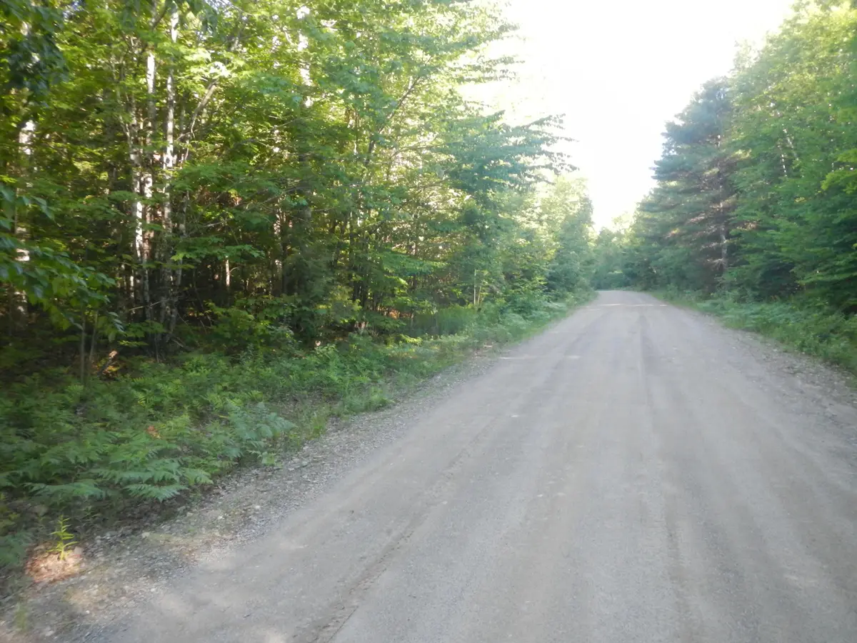 02-09-00-0 Upper Dobsis Road, Lakeville, ME 04487 - #1