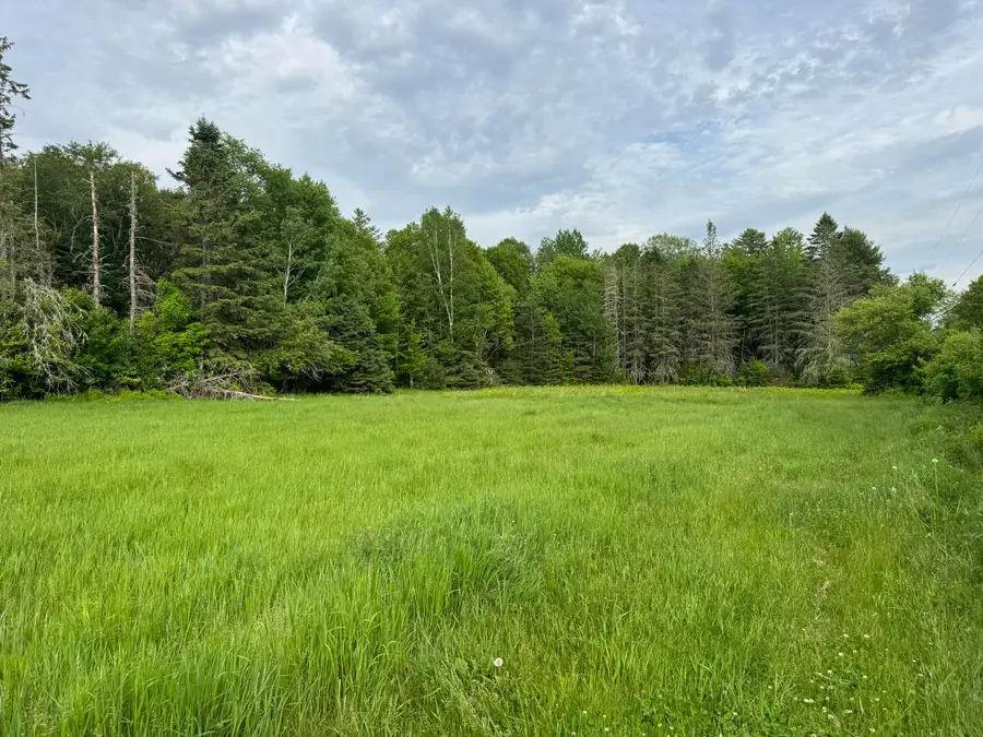 Lot 51 Peters Cove Road, Orient, ME 04471 - #3