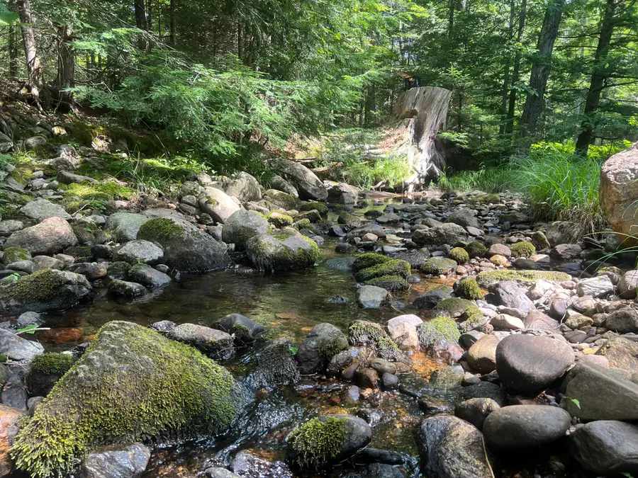 783 Paris Hill Road, South Paris, ME 04281 - #3