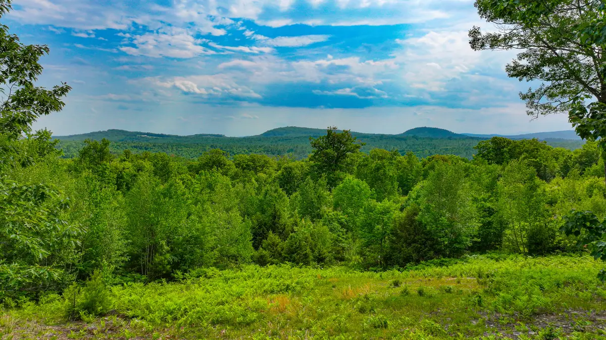 Lot 31C David Road, Waterford, ME 04088 - #1