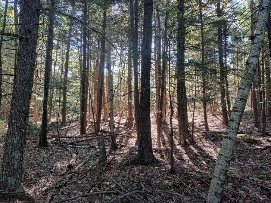 005-009 Ridge School Road #005-009A, Liberty, ME 04949 - #3