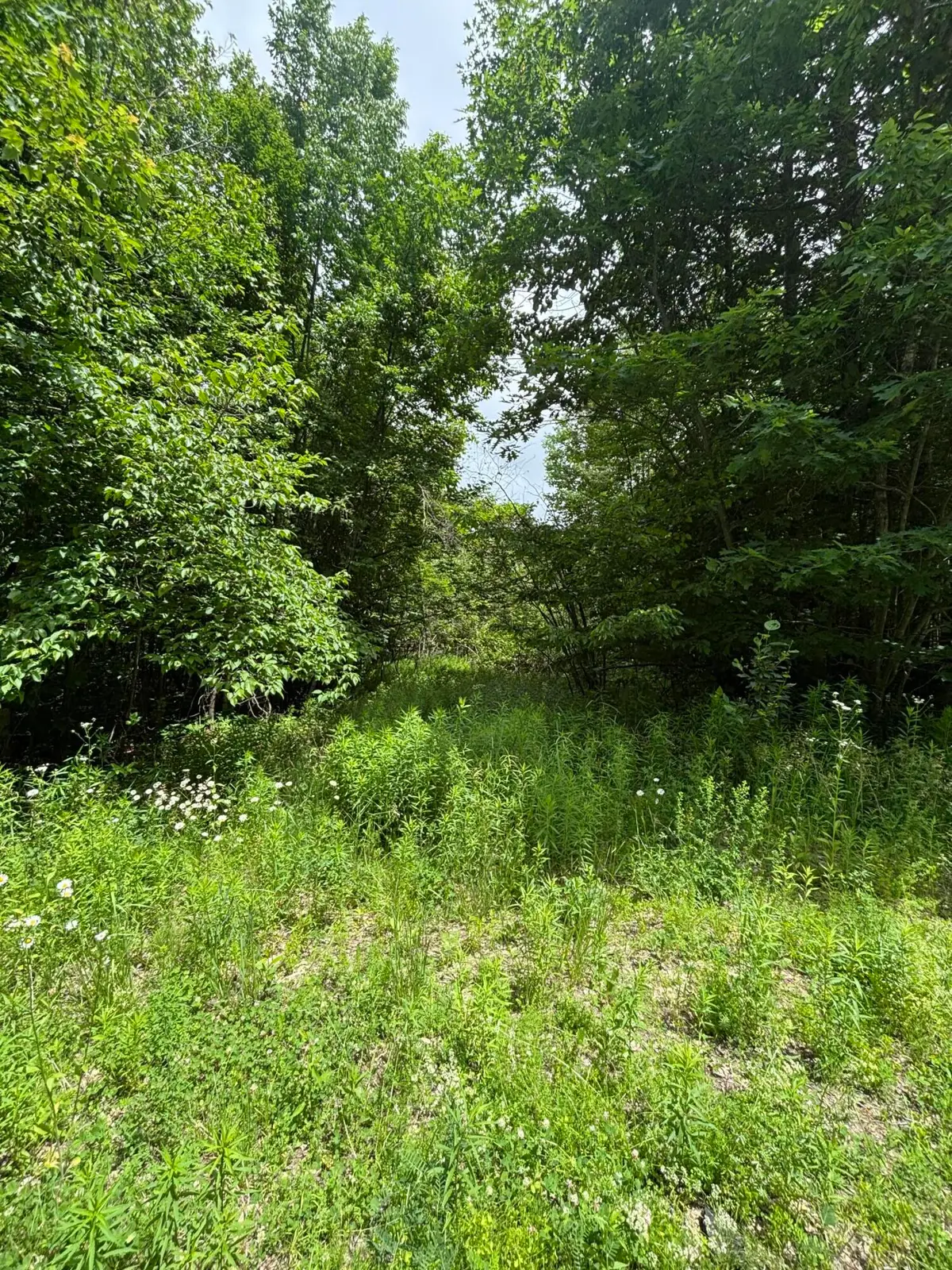 # Ledge Hill Road, Corinth, ME 04427 - #1