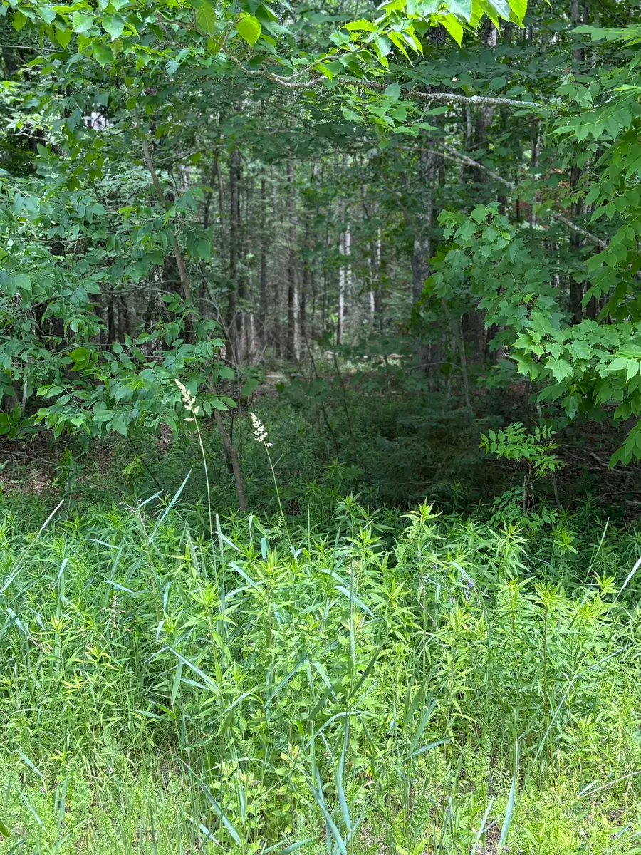 # Ledge Hill Road, Corinth, ME 04427 - #3