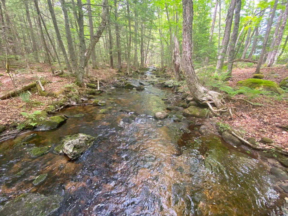 783 Half Township Road, Lincoln, ME 04457 - #1