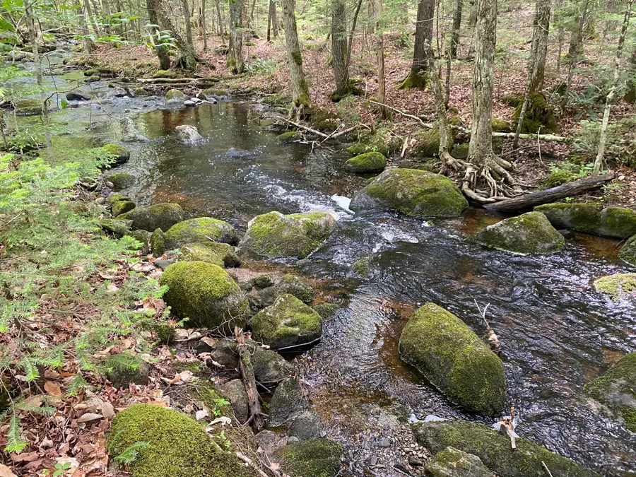 783 Half Township Road, Lincoln, ME 04457 - #2