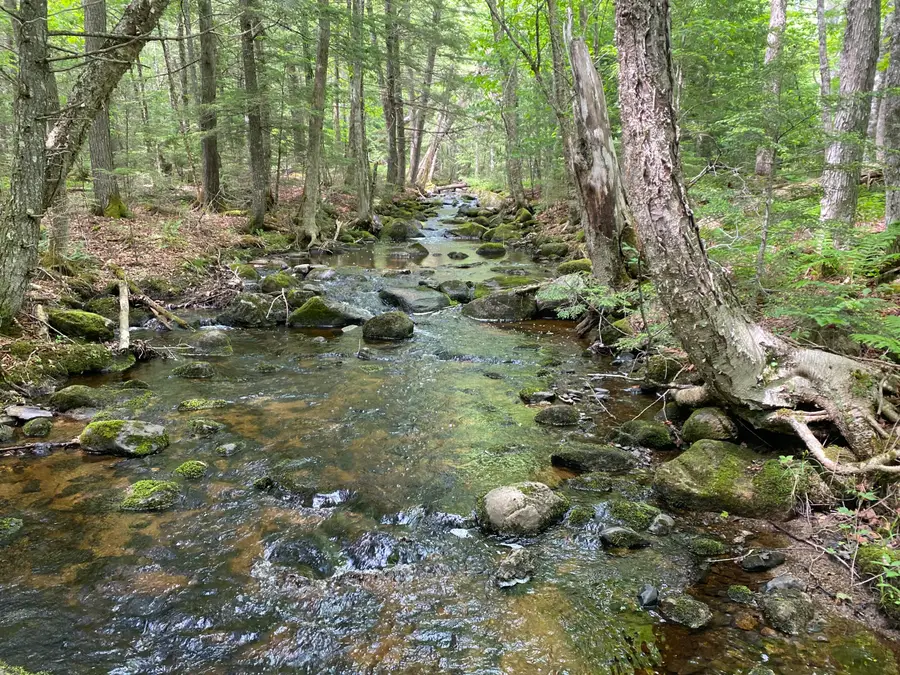 783 Half Township Road, Lincoln, ME 04457 - #3