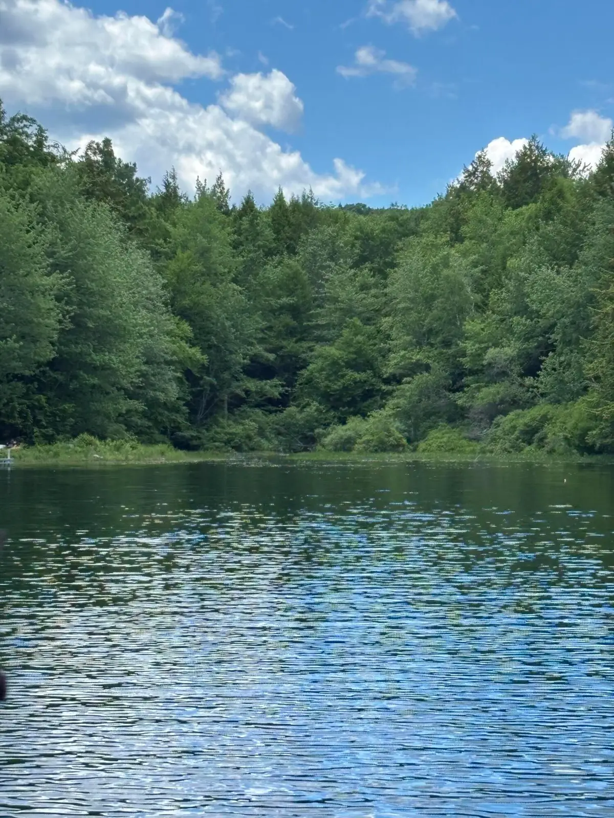 00 Brown Road, Liberty, ME 04949 - #1