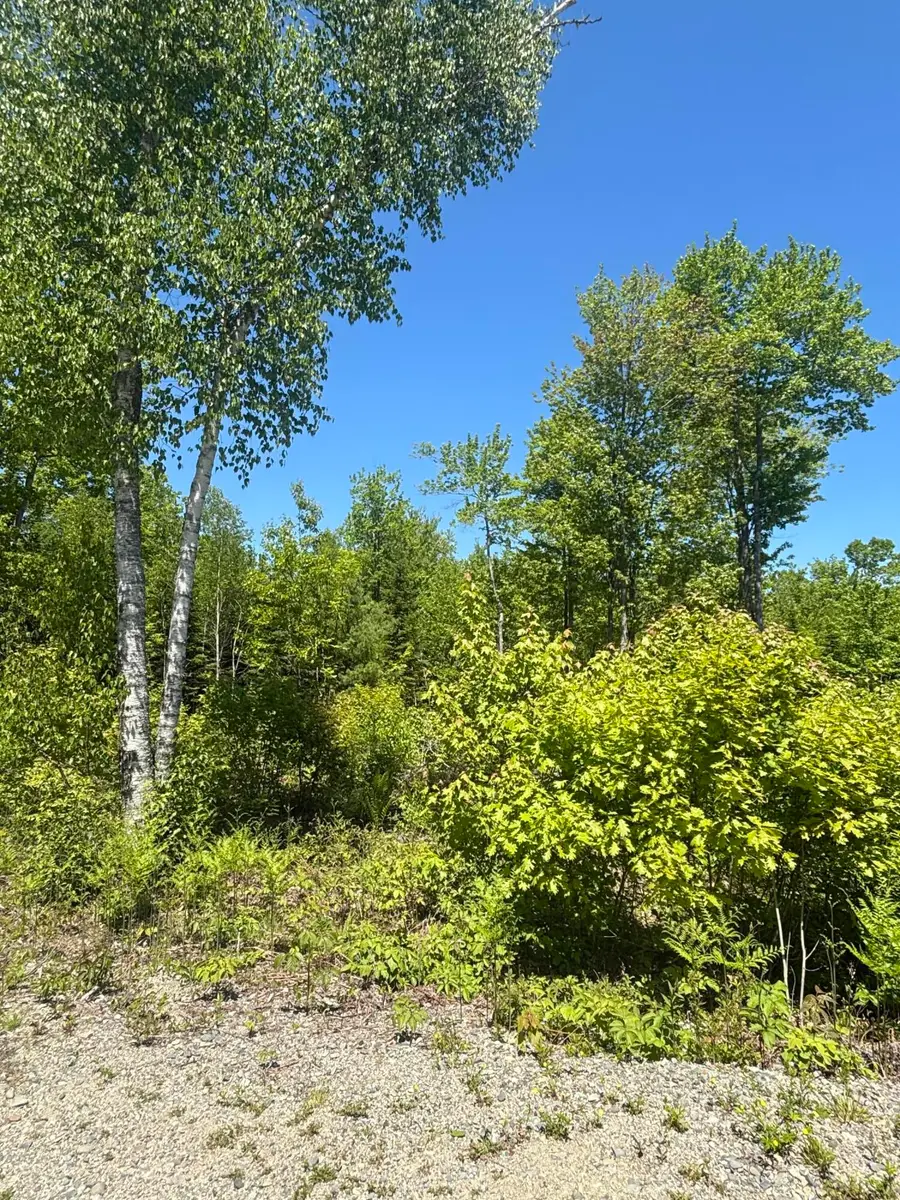 54 Poplar Lane, Hancock, ME 04640 - #3