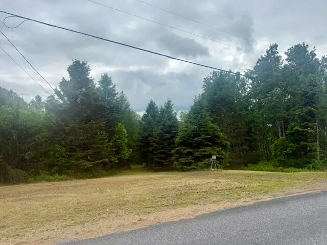 687 N Perley Brook Road, Fort Kent, ME 04743 - #1