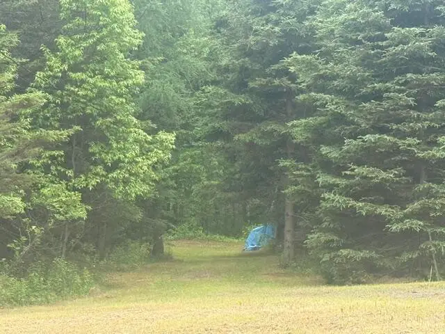 687 N Perley Brook Road, Fort Kent, ME 04743 - #3