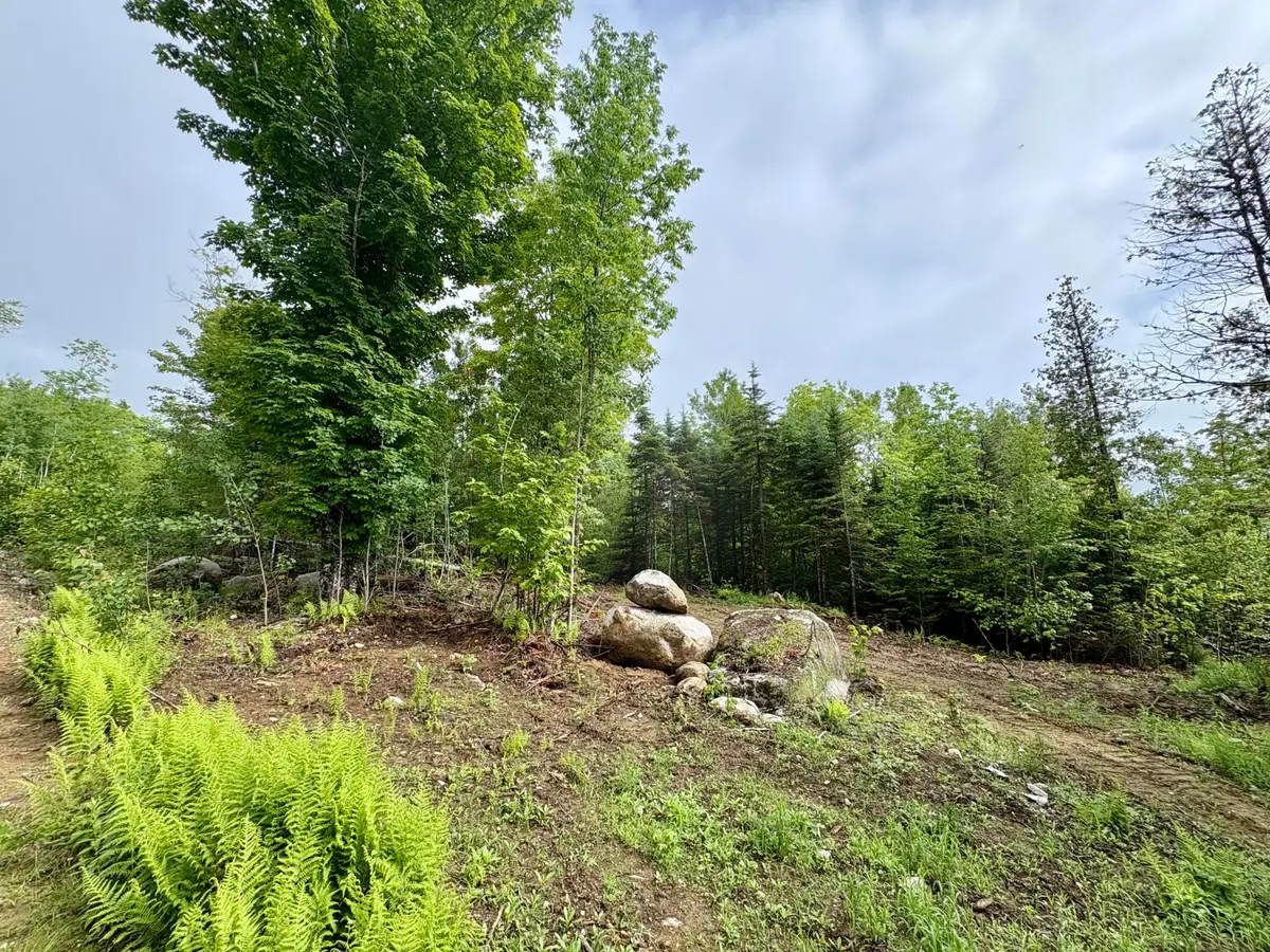 Lot 10 Mt. Jefferson Heights, Lee, ME 04455 - #1