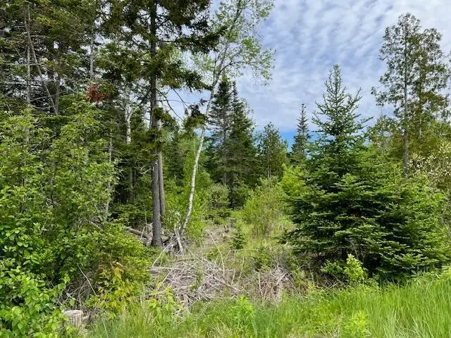 Lot 29-001 Fifth Avenue, Pembroke, ME 04666 - #1