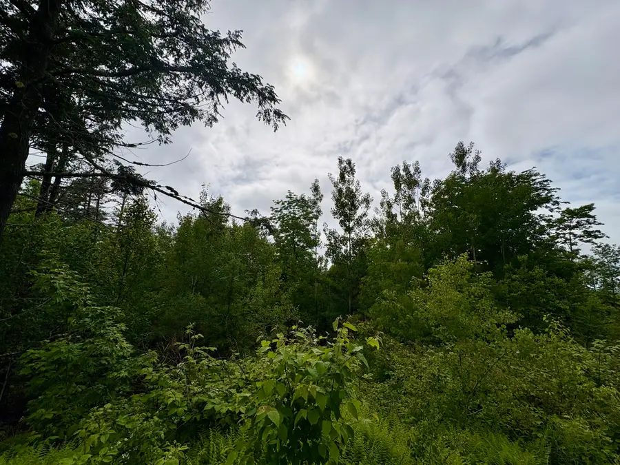 Lot 11 Mt. Jefferson Heights, Lee, ME 04455 - #2