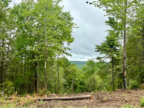 Lot 13 Mt. Jefferson Heights, Lee, ME 04455