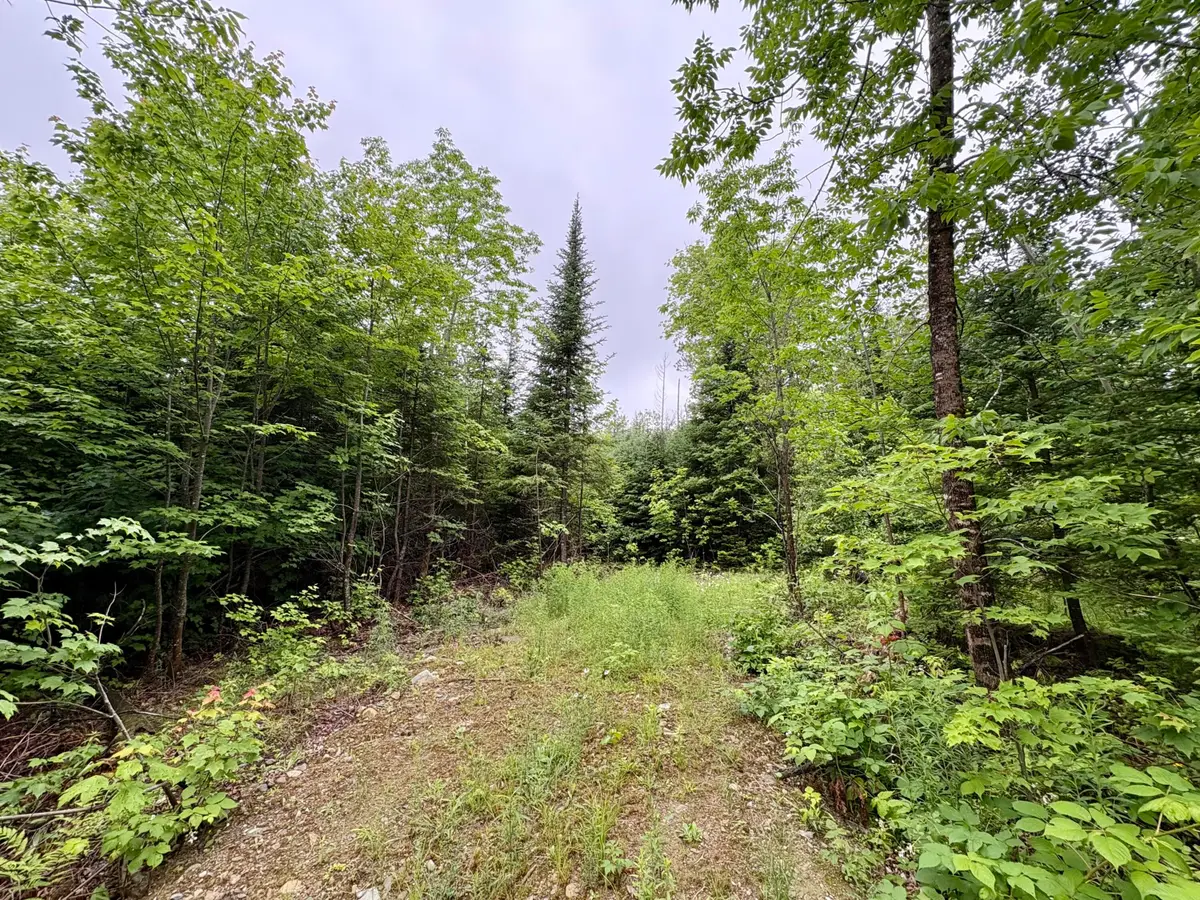 Lot 1 Mt. Jefferson Heights, Lee, ME 04455 - #1
