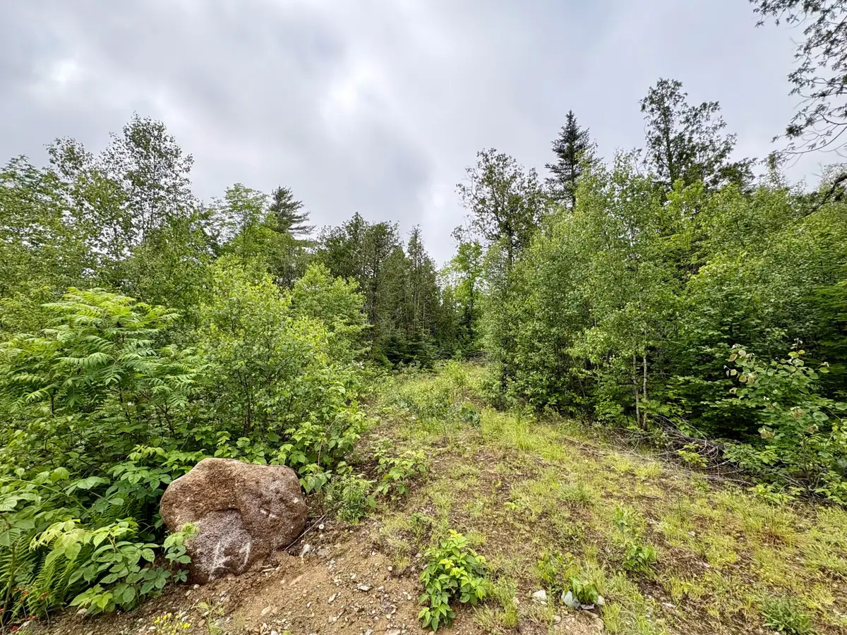 Lot 2 Mt. Jefferson Heights, Lee, ME 04455 - #1