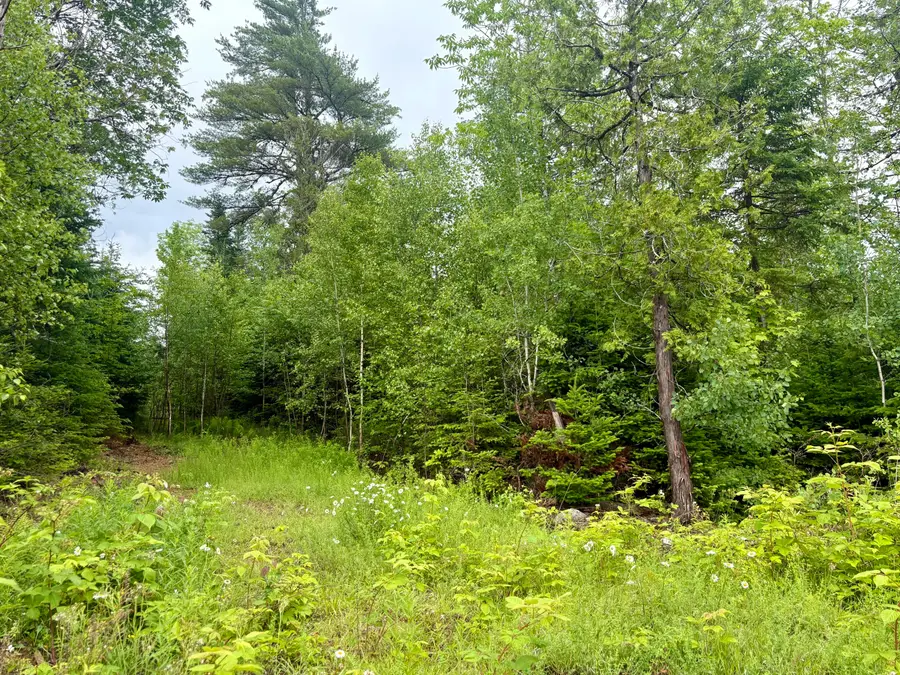 Lot 3 Mt. Jefferson Heights, Lee, ME 04455 - #2